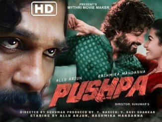 Pushpa The Rise (2021) Hindi Dubbed Full Movie Watch Online Free