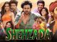 SHEHZADA (2023) ONLINE SUBTITRAT