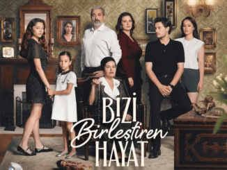 Bizi Birlestiren Hayat